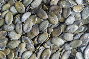 Macro background texture of green pumpkin seeds