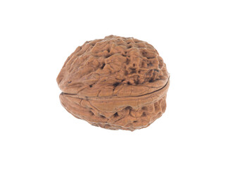 walnut isolated on white background