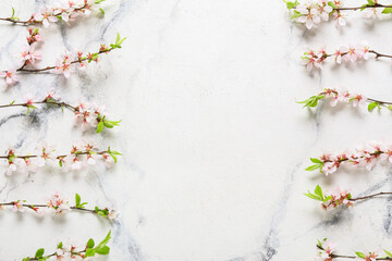 Beautiful blooming branches on light background