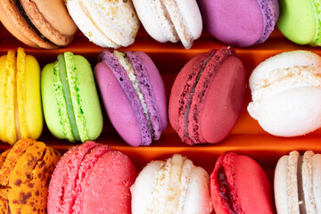 Fresh macaroon confection