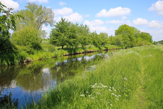 View over green meadow on small river Niers with reflection of trees in water in summer - Viersen (Suchteln), Germany (lower rhine)