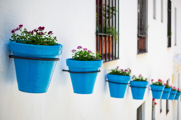 Fototapeta na wymiar Hilera de macetas azules con flores colgadas por las calles de Mijas