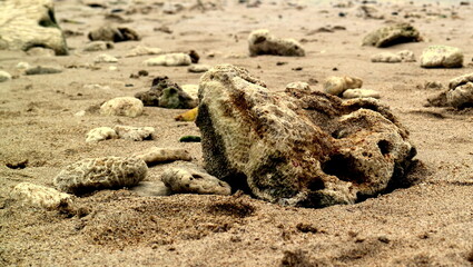 sand castle on the beach