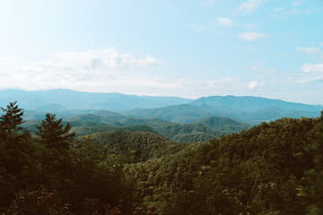 Naklejka premium landscape with clouds
