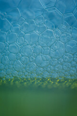 abstract macro of the bubble on a surface, abstract macro background