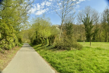 Fototapeta na wymiar Route de promenade traversant la végétation luxuriante de l'arboretum de Groenendael au sud est de Bruxelles