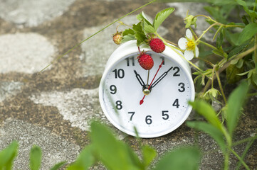white alarm clock with berries and leaves of strawberries