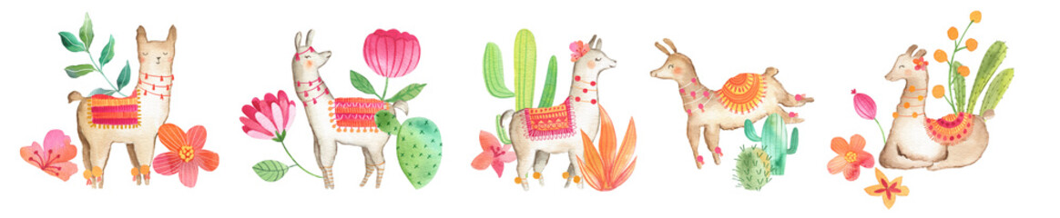 Llama Watercolor animal illustration for kids 