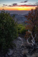 View of a path between bushes revealing a sunset, mountains in the distance, and a green field in Arizona