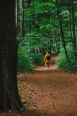 traveler man in yellow raincoat hiking by rainy forest