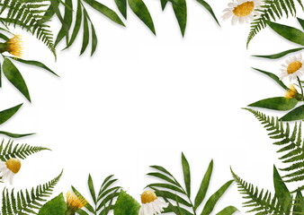 Hand drawn floral frame with dandelions, daisies and green leaves. Spring or summer flowers for invitation, wedding or greeting cards. Floral ard template.