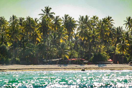 Zansibar Urlaub im Paradies