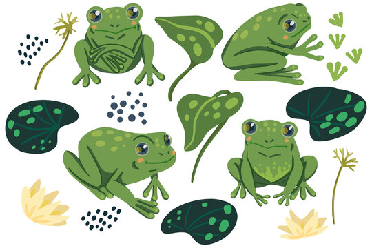 Cute frogs, water lily leaves flat vector illustrations. Colorful collection in scandinavian style. Abstract cartoon animals. Simple elements for design, print, wrapping, decor, card, sticker, banner.
