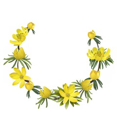 Realistic hand-drawn floral сard template with bright summer flowers with green leaves on white background. Botanical frame.