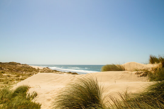 Sand beach dunes