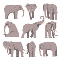 Elephant as Large African Animal with Trunk, Tusks, Ear Flaps and Massive Legs Vector Set