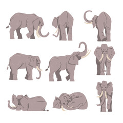 Elephant as Large African Animal with Trunk, Tusks, Ear Flaps and Massive Legs Vector Set