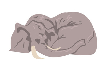 Lying Elephant as Large African Animal with Trunk, Tusks, Ear Flaps and Massive Legs Vector Illustration