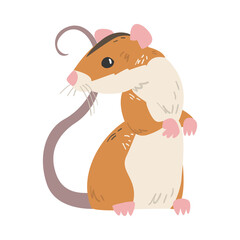 Field Mouse as Small Rodent with Long Tail and Dorsal Black Stripe Vector Illustration