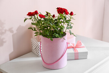 Beautiful red roses with gift boxes on shelf near color wall