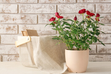 Beautiful red roses in pot and basket with book on table near brick wall