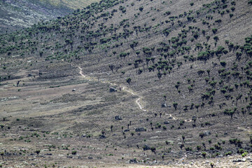 Besteigung des Mount Kenyas