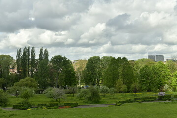 Contraste entre l'ombre et une éclaircie aux Jardins Jean Sobieski à Laeken
