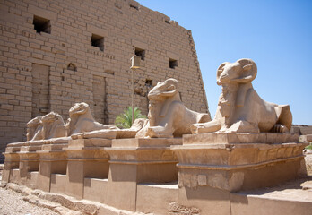 On the alley of rams Karnak temple, Luxor Egypt.