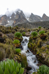 Besteigung des Mount Kenyas