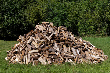 Großer Haufen Brennholz im Gras einer Wiese vor dichten grünen Büschen 