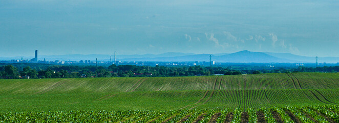 Widok na góry i panoramę miasta © Pitty