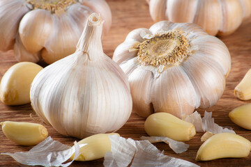 Garlic Cloves and Bulb isolated on wooden background.