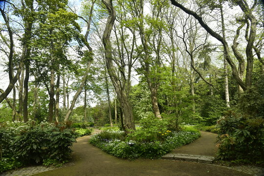 Parterres de vari&eacute;t&eacute;s de fleurs entre les chemins et arbres au bois qui s&eacute;pare les jardins de Jean Sobieski et celui du fleuriste &agrave; Laeken 