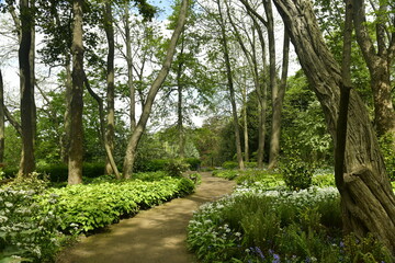 Parterres de variétés de fleurs entre les chemins et arbres au bois qui sépare les jardins de Jean Sobieski et celui du fleuriste à Laeken 