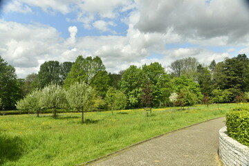 Fototapeta na wymiar Jeunes arbres sur la pelouse principale aux Jardins Jean Sobieski à Laeken