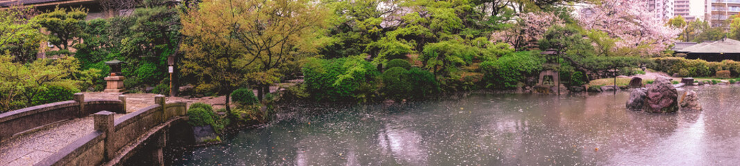 Super wide panorama of beautiful pond at traditional garden and the sakura trees blooming in spring in a rainy day at Shitenno-ji temple, Osaka, Japan