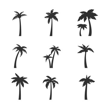 Palm icons set. 9 black palm tree silhouettes isolated on white background. Palms, Coconut icons. Vector illustration
