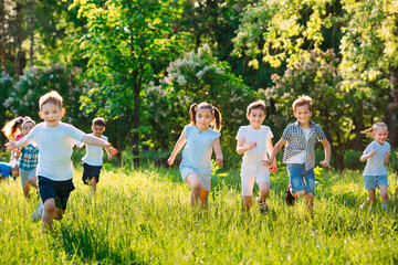 Fototapeta premium A group of happy children of boys and girls run in the Park on the grass on a Sunny summer day.