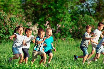 Fototapeta premium A group of happy children of boys and girls run in the Park on the grass on a Sunny summer day.
