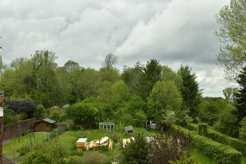 Petite forêt très dense et impénétrable derrières les jardins privés à Ecaussinnes d'Enghien