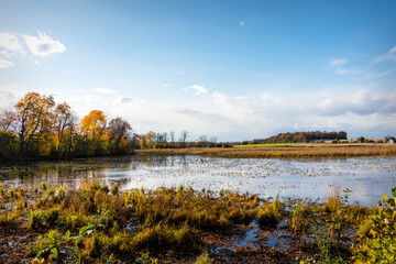 Fototapeta na wymiar Looking out onto a lowland marsh in Waukesha County Wisconsin in the fall.