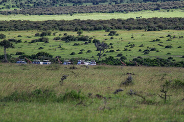 Maasai Mara National Park Safari Tour