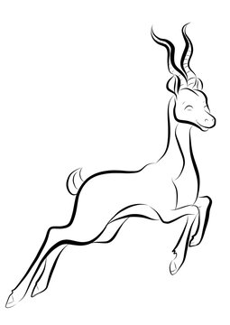 Antilope
