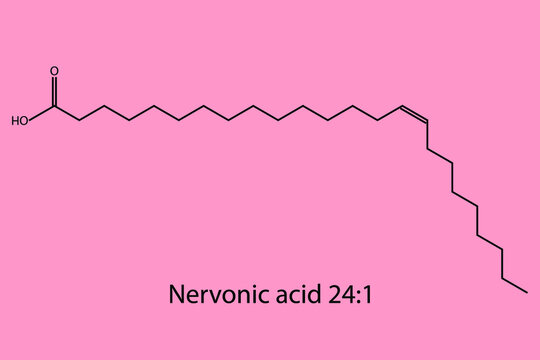 Nernovic Acid - Omega 9 biomolecule molecular formula. Skeletal molecule structure vector eps10.