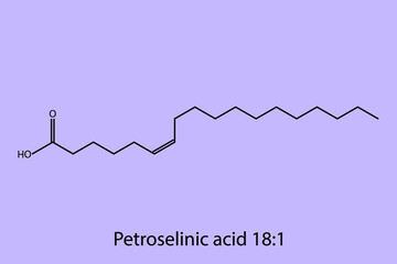 Petroselenic Acid - Omega 12 biomolecule molecular formula. Skeletal molecule structure vector eps10.