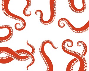 Octopus tentacles. Isolated octopus tentacles on white background © oleg7799