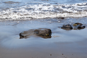 Waves Washing Sandy Beach with Exposed Wet Rocks