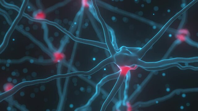 Neurons - loop