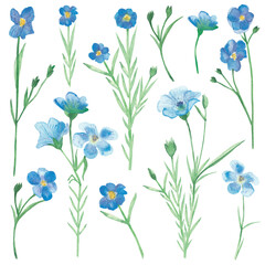 Watercolor hand painted nature floral field set with blue linen flax blossom flowers on green branches collection isolated on the white background for design elements