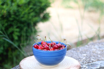 Bowl of fresh cherries, served in a garden. Selective focus.